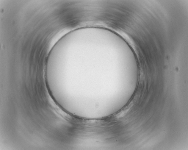 X0000088611390200706221420