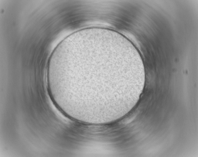 X0000088611391200706221420