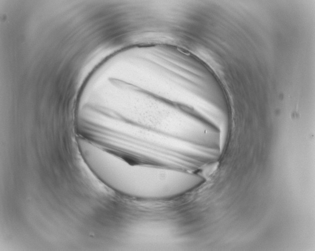 X0000088611392200706221420