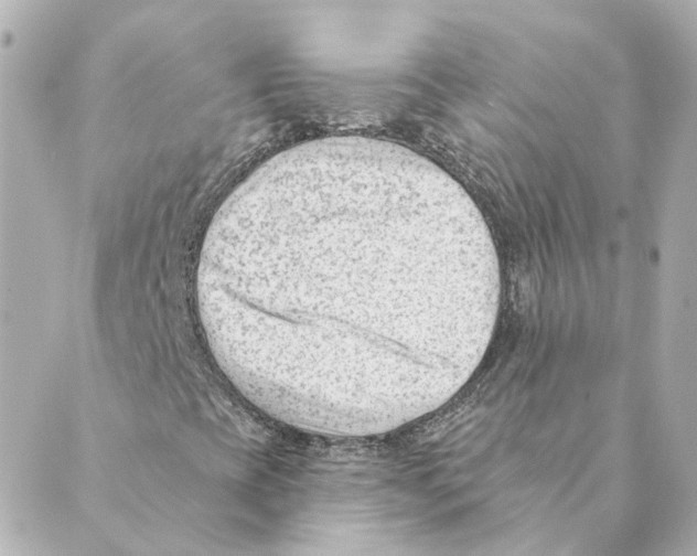 X0000088611393200706221419