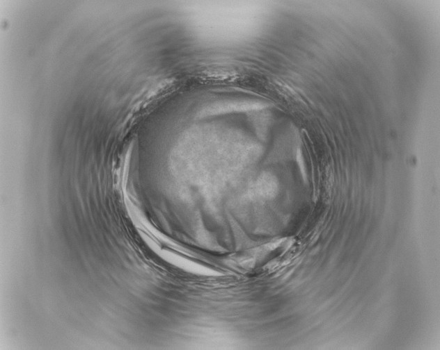 X0000088611394200706221419