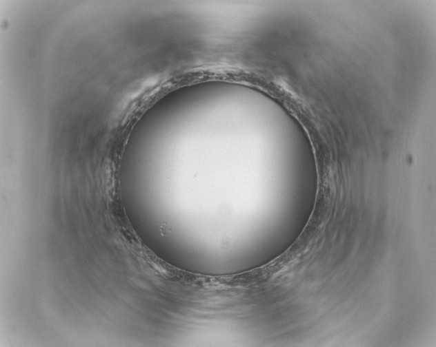 X0000088611398200706221419