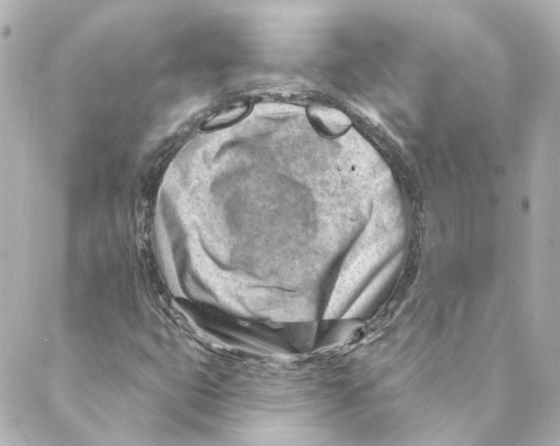 X0000088611399200706221419