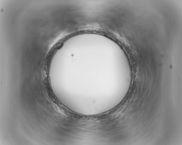 X0000088611400200706221419