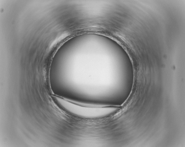 X0000088611402200706221419