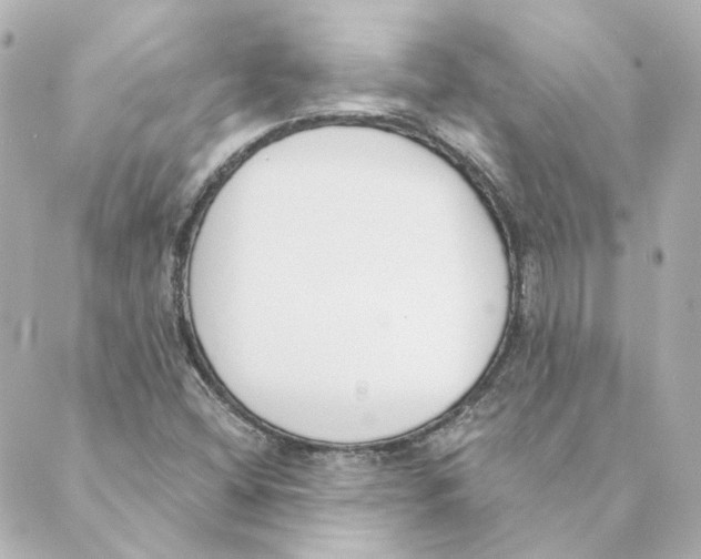 X0000088611404200706221419