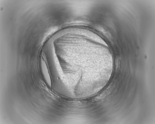 X0000088611405200706221419