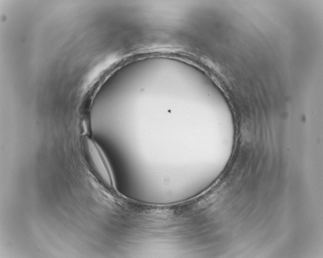 X0000088611406200706221419