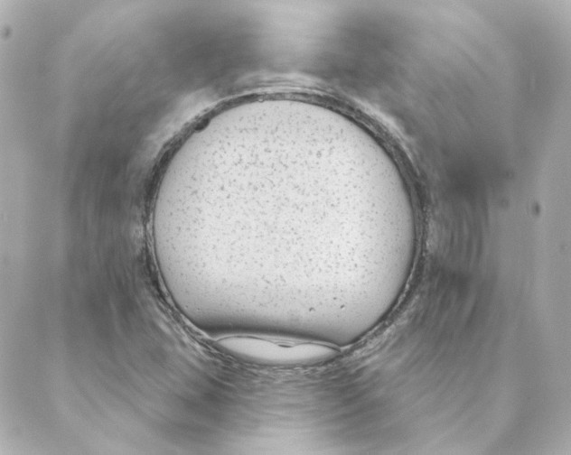 X0000088611407200706221419