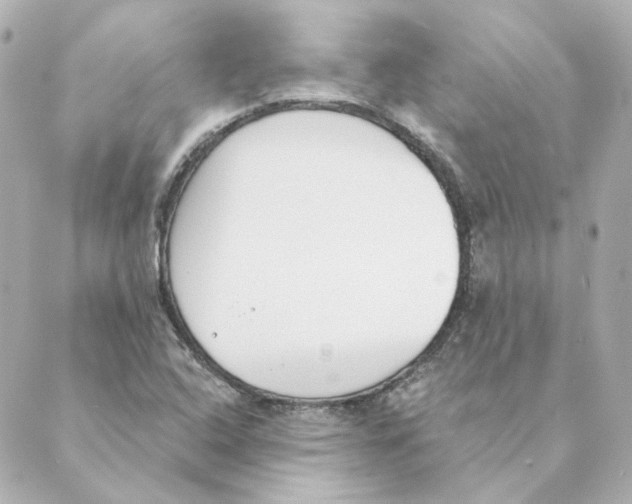 X0000088611408200706221419