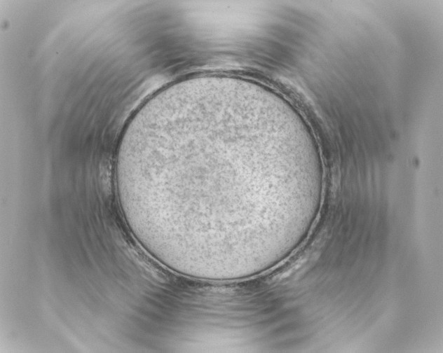 X0000088611409200706221419