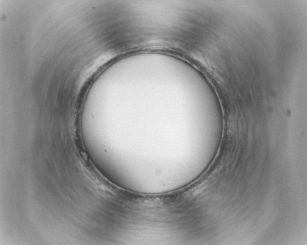 X0000088611410200706221419