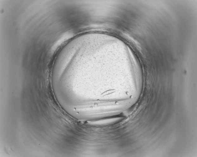 X0000088611411200706221419