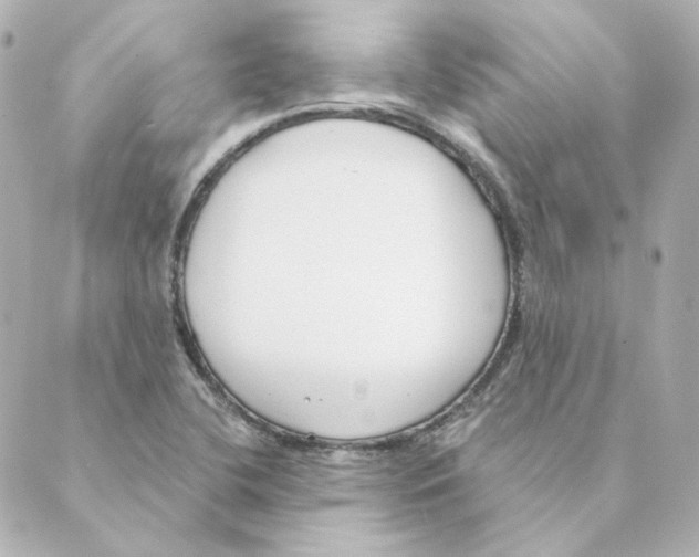 X0000088611412200706221419