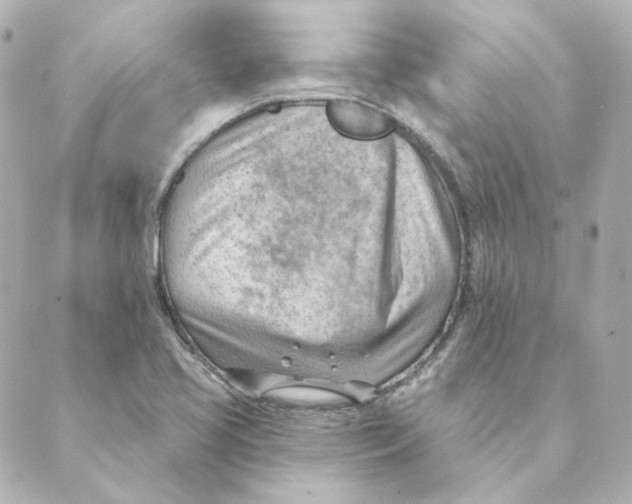 X0000088611413200706221419