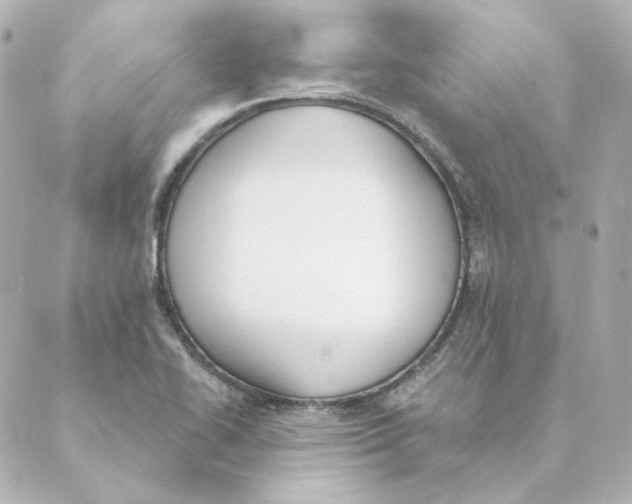 X0000088611414200706221419