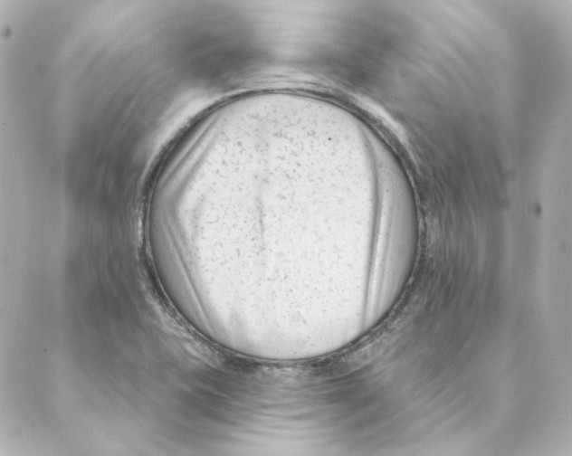 X0000088611415200706221419