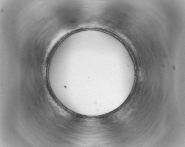 X0000088611416200706221419