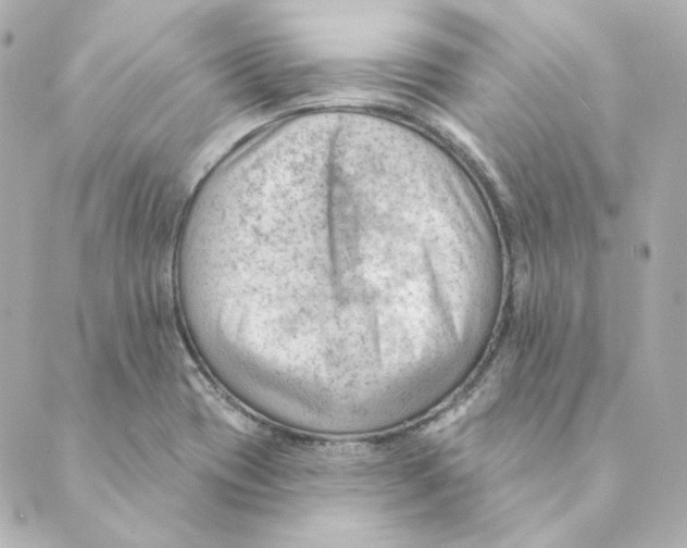 X0000088611417200706221419