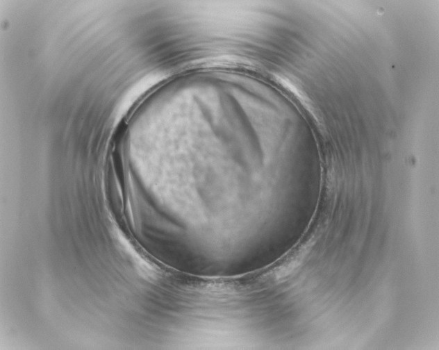 X0000088611418200706221419