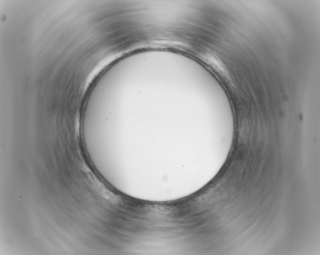 X0000088611420200706221419