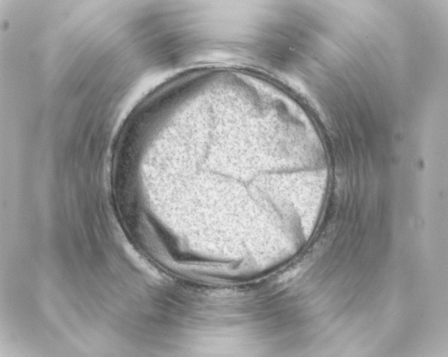 X0000088611421200706221419