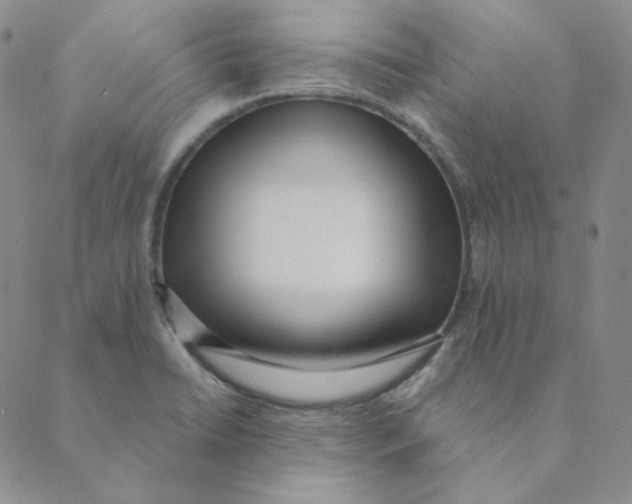 X0000088611422200706221419