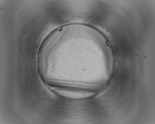 X0000088611423200706221419