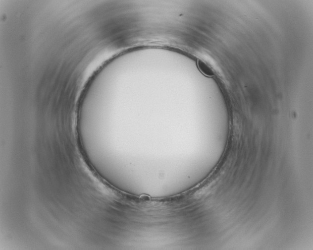 X0000088611424200706221419