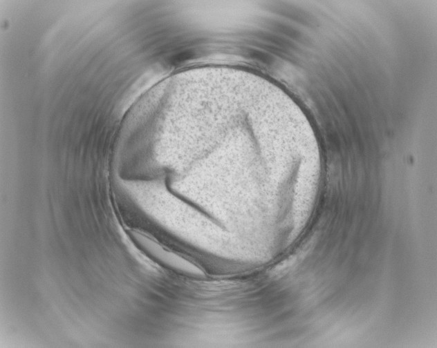 X0000088611425200706221419