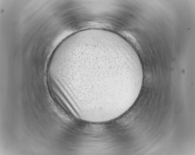 X0000088611427200706221419