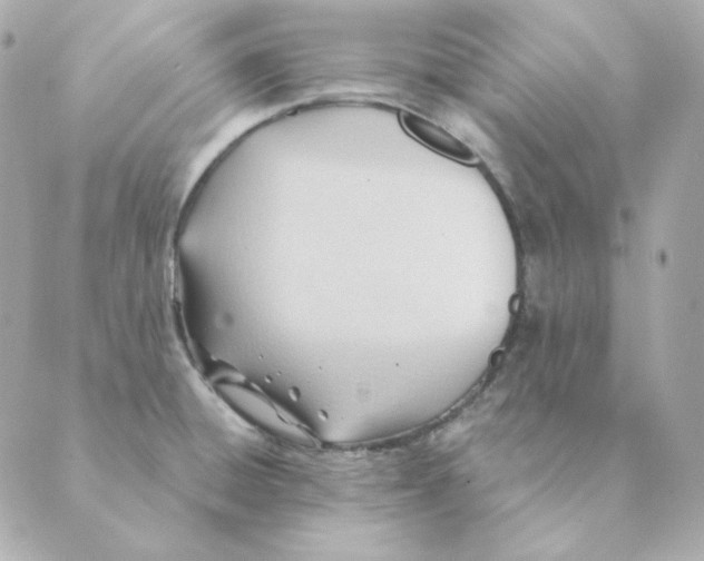 X0000088611428200706221419