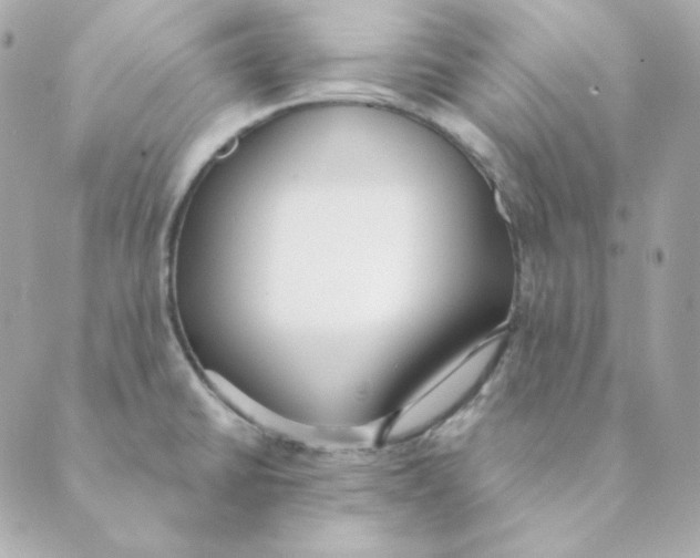 X0000088611430200706221419