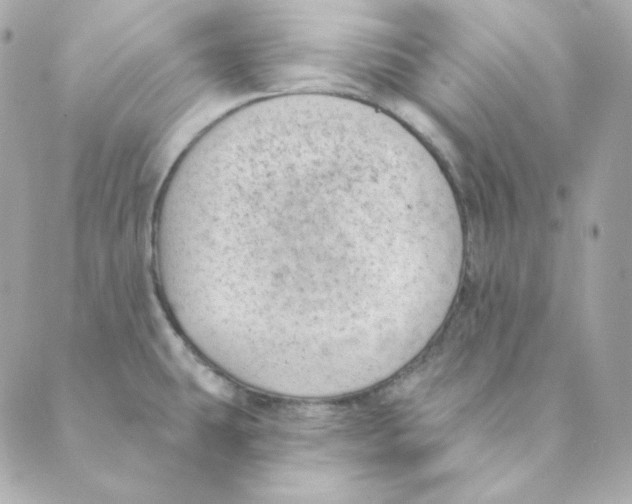 X0000088611431200706221419