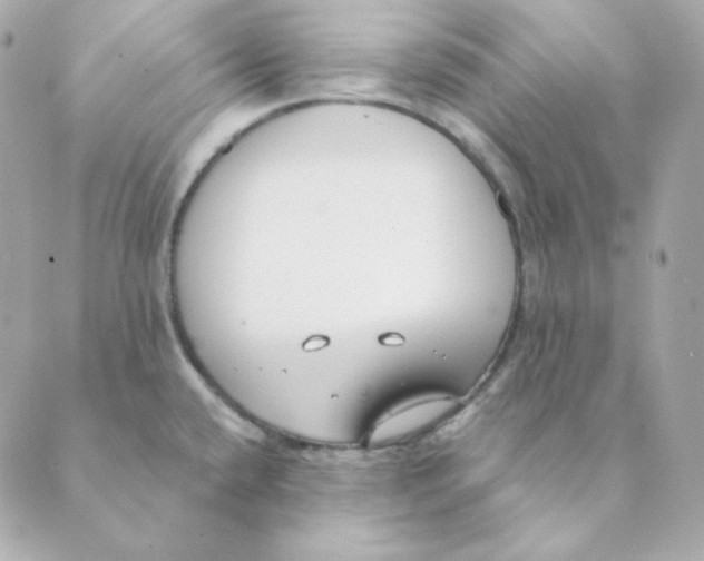 X0000088611432200706221419