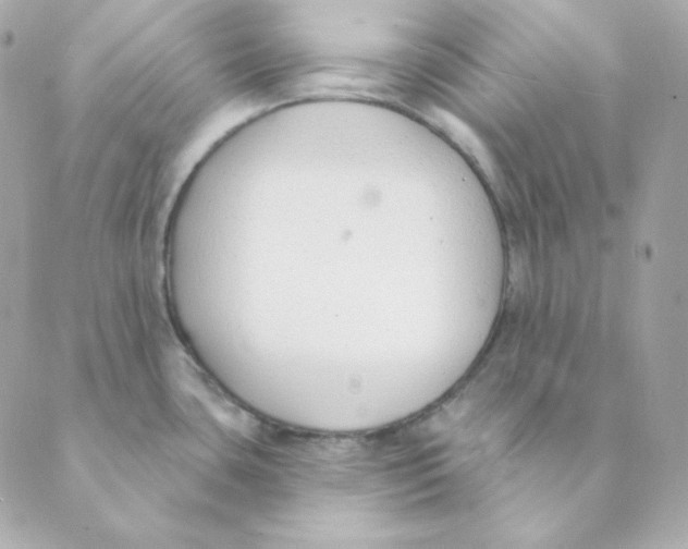 X0000088611435200706221419