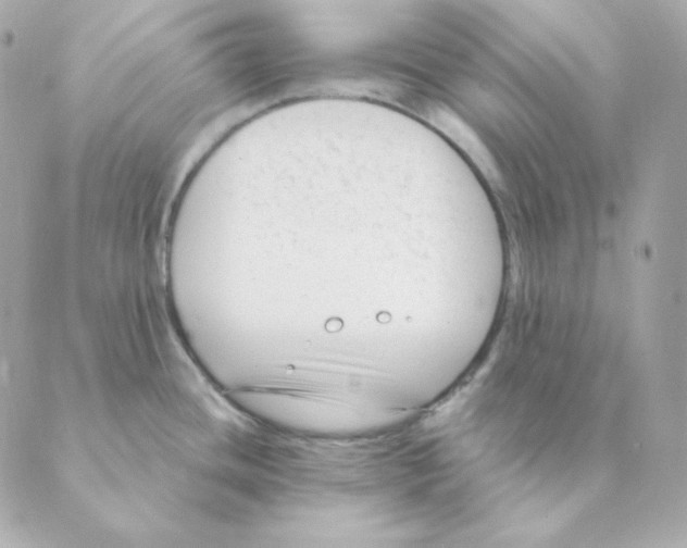 X0000088611436200706221419