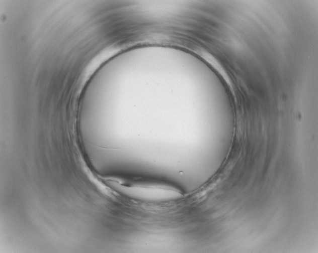 X0000088611437200706221419