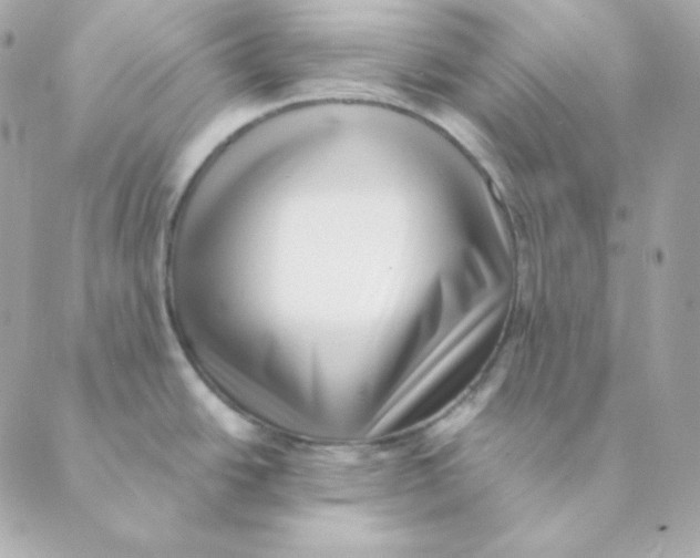 X0000088611438200706221420