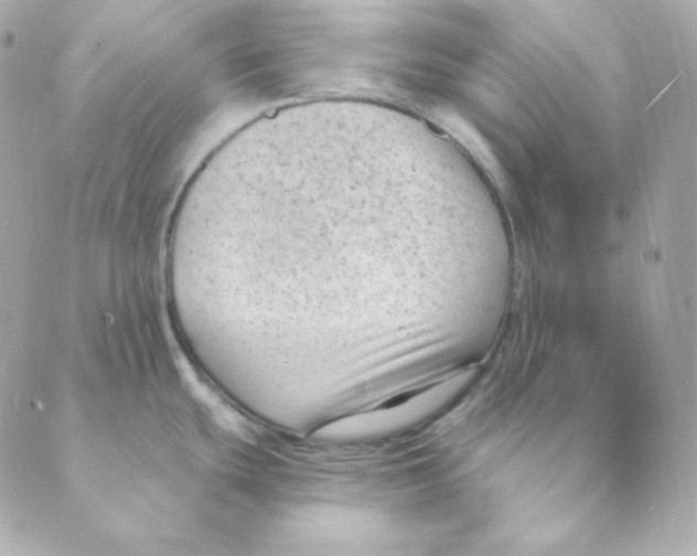 X0000088611439200706221420