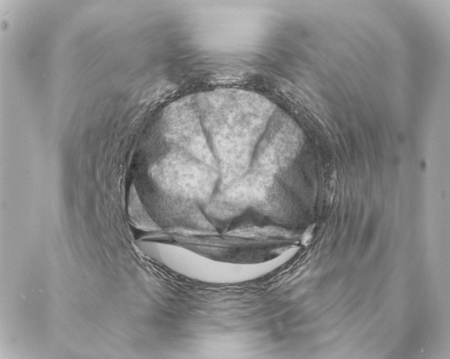 X0000088611441200706221419