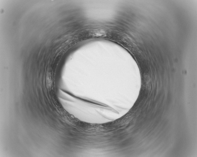 X0000088611442200706221419