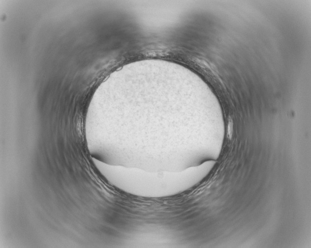 X0000088611444200706221419