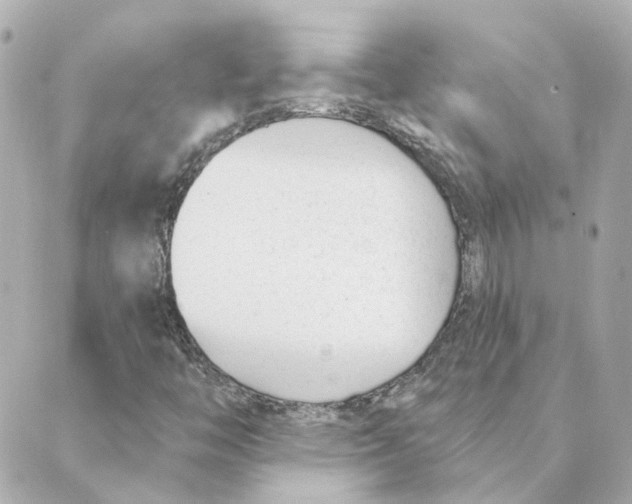 X0000088611446200706221419