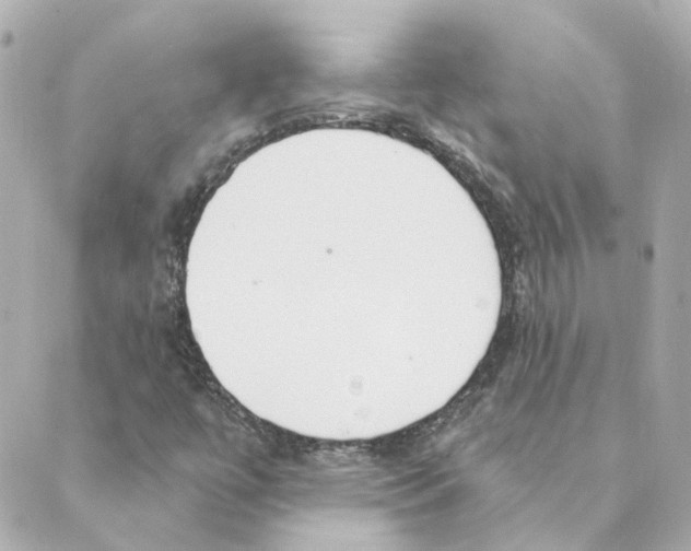 X0000088611447200706221419