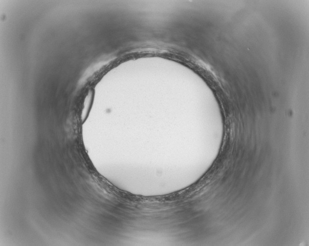 X0000088611448200706221419