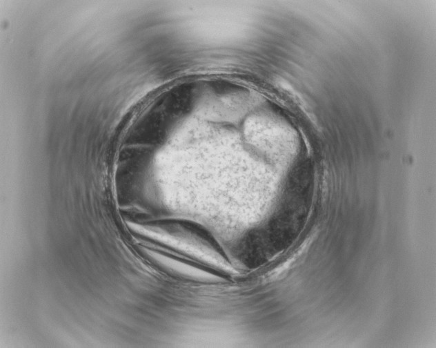 X0000088611449200706221419