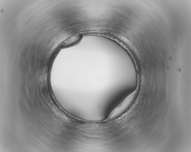 X0000088611450200706221419