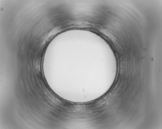 X0000088611451200706221419