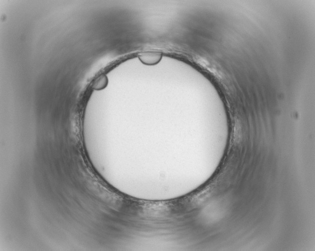 X0000088611454200706221419